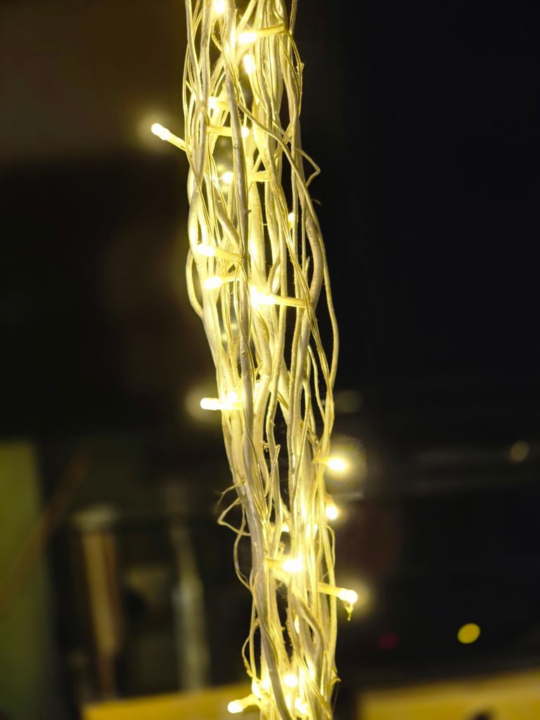 Twig like lights in a black vase x 2