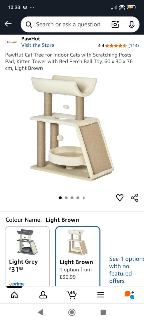 Cat tree brand new 