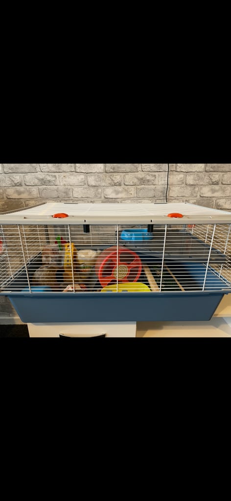 image for HAMSTER CAGE 