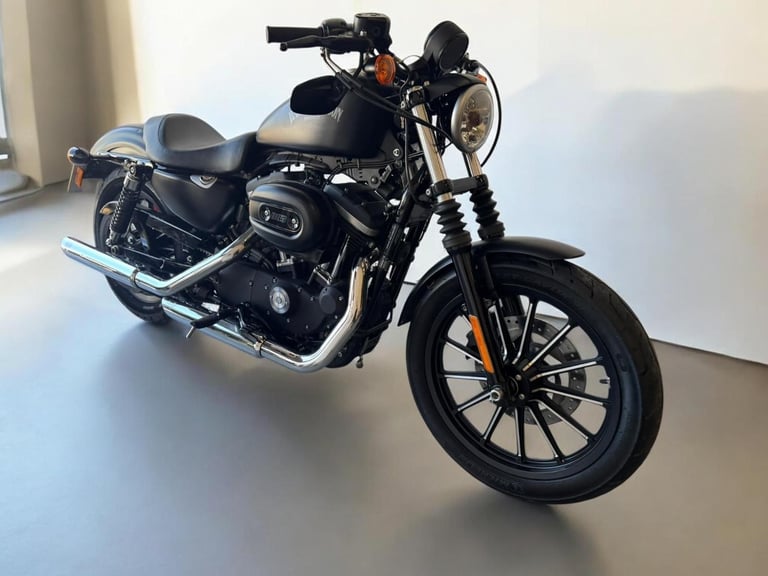 2015 Harley-Davidson Sportster 883 XL883N Iron 883