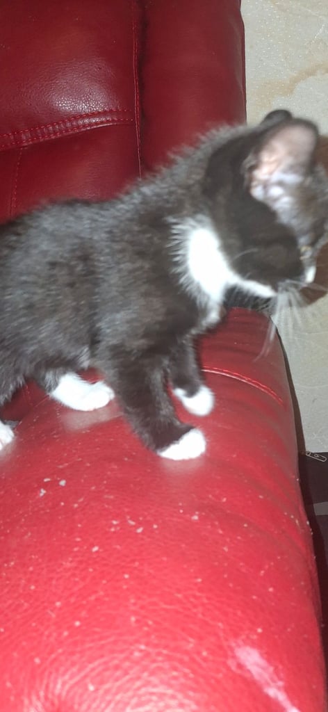 ready for a new home 