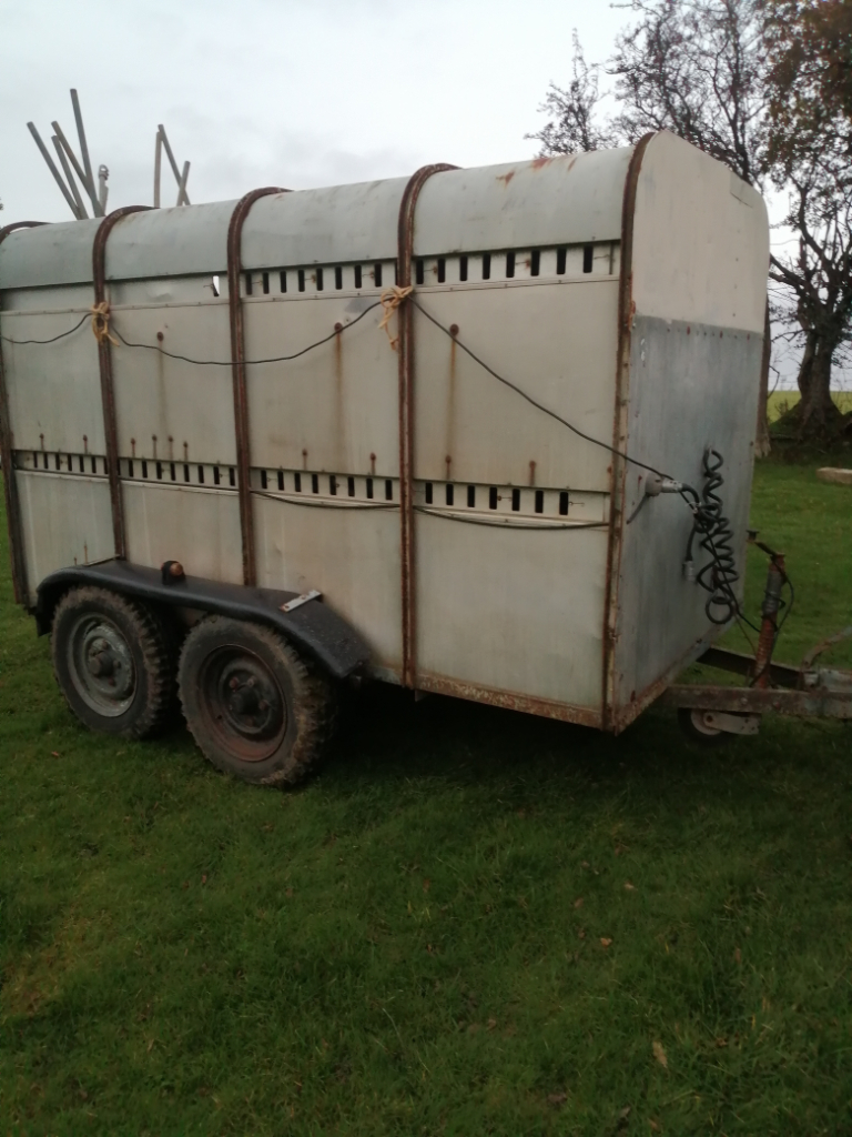 10ft IFOR WILLIAMS LIVESTOCK TRAILER