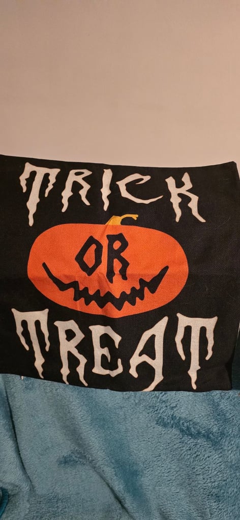 X3 Halloween Cushion Covers 