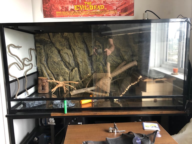 image for Bearded dragon enclosure