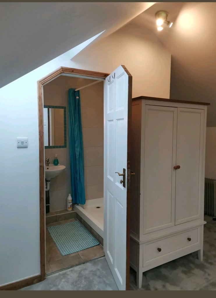 Entire Loft with private bathroom 