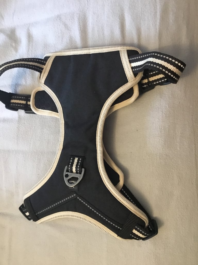 image for 3 Peaks Ecru Ascent dog harness