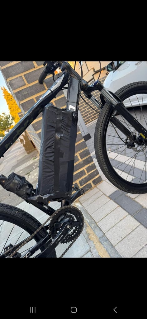 Electric Bike 250W