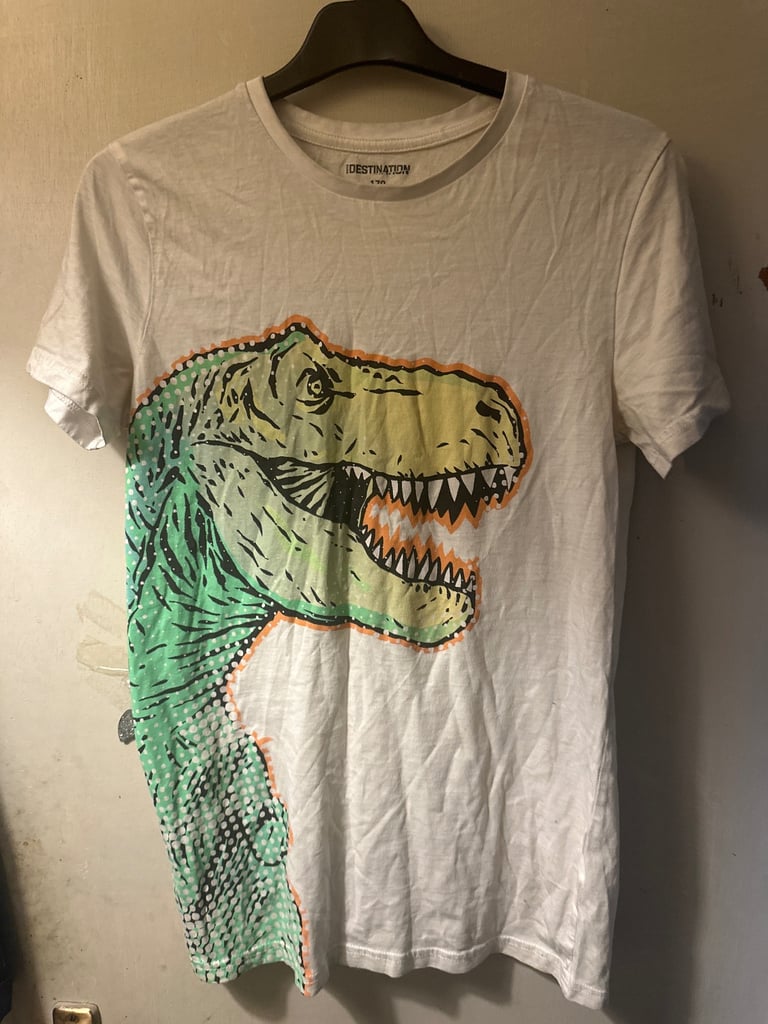 Boys dinosaur t-shirt 