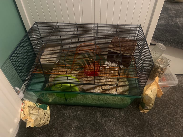 image for Hamster bundle
