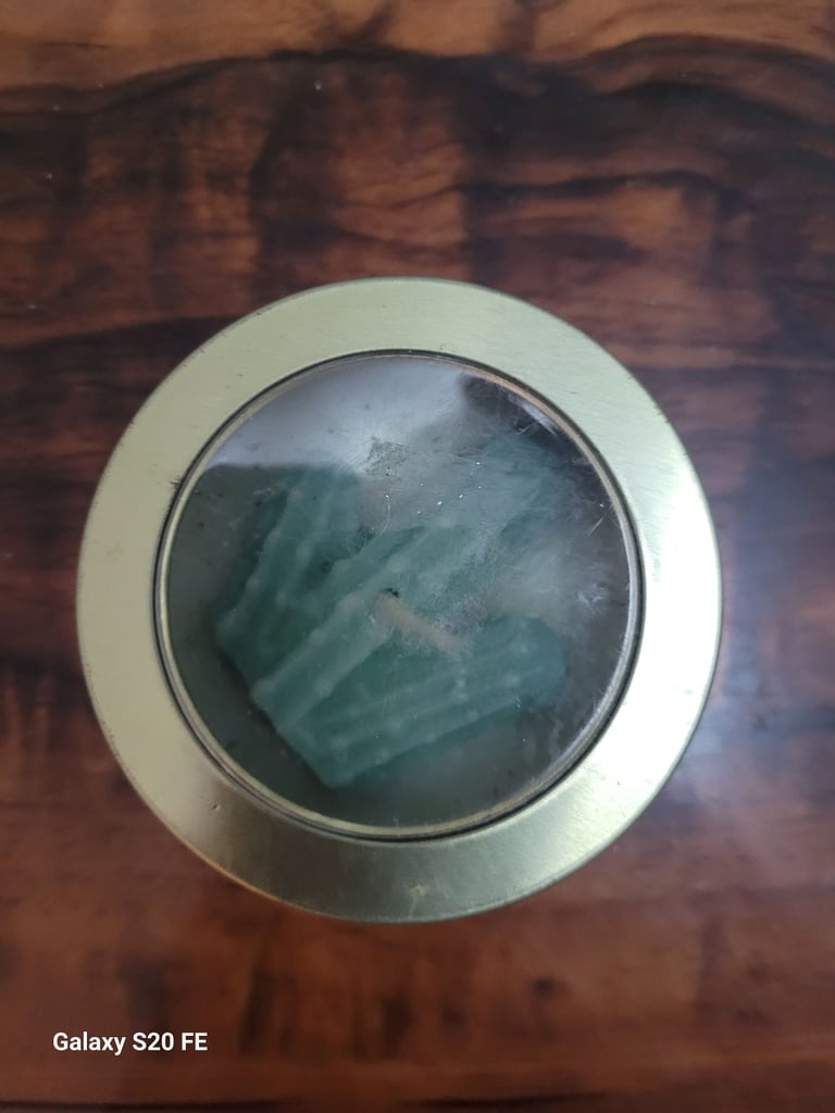 Primark Home Tahitian Vanilla Scented Candle in Tin - Green Cactus Design, 20 Hours