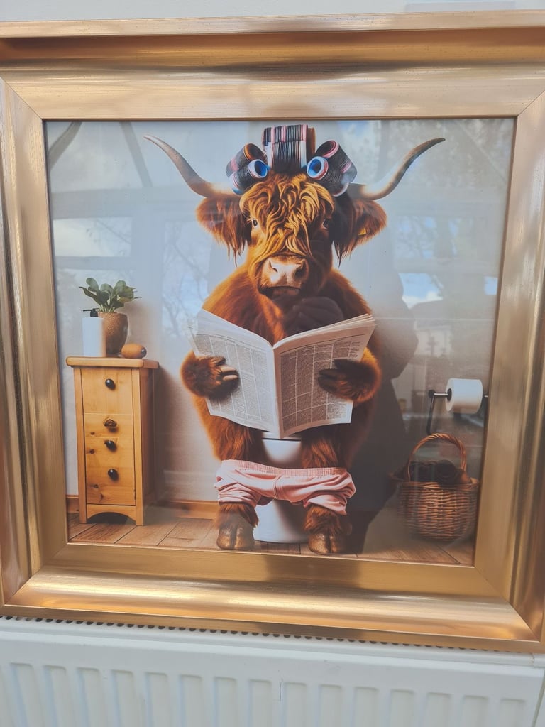 image for Picture Framed