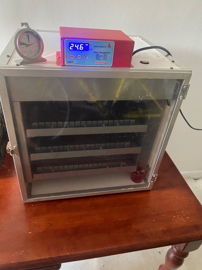 Quick sale automatic incubator for sale @174