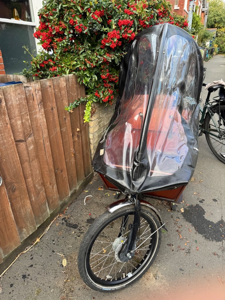 image for A very nice cargo bike for your family!
