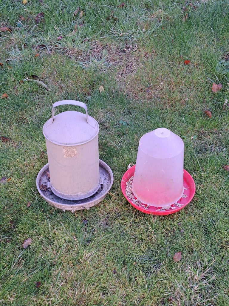 Bird water and food feeder
