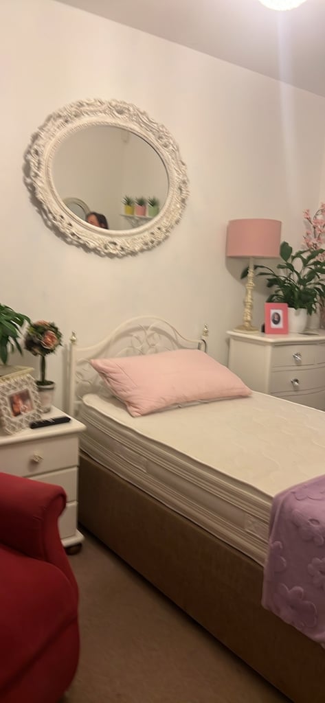 image for Rise & Recline Single Bed with ortho pressure mattress