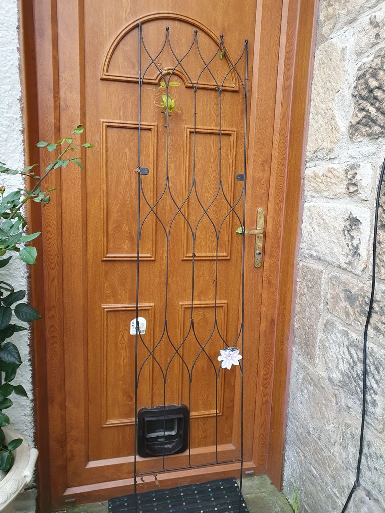 Large Metal Trellis Wall Climbing Garden Plant Frame Rose Support 1.8m x 40cm
