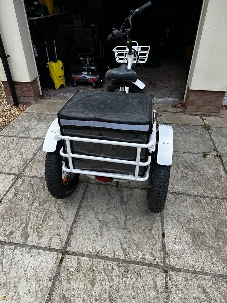 Alpine Explorer Electric Mountain Tricycle 
