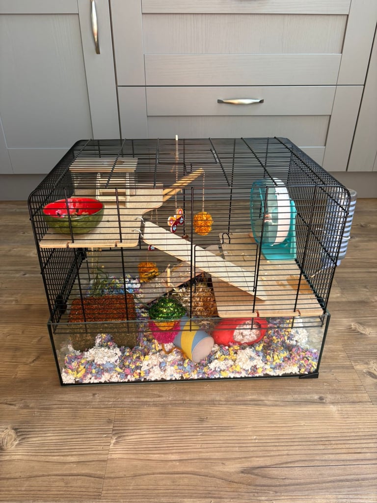 image for Gerbil, Hamster cage