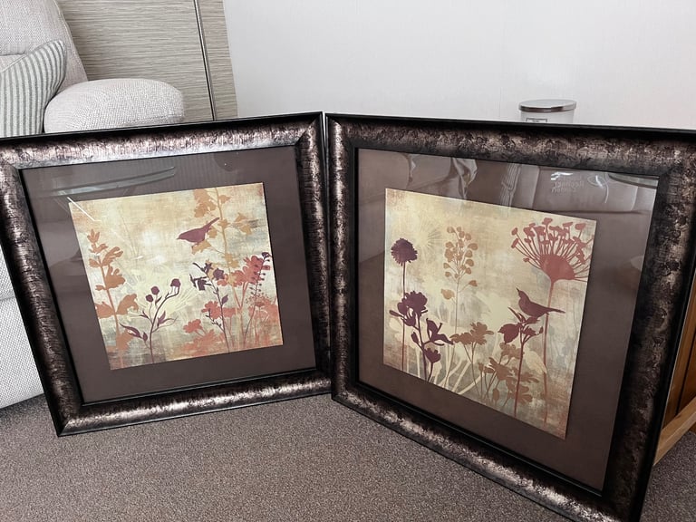 image for Pair of framed bird prints