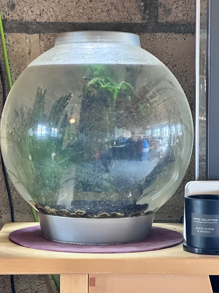 image for Bi-Orb fish tank 