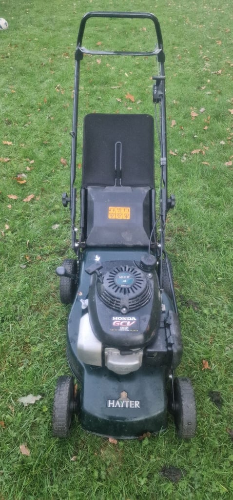 Hayter Push Mower