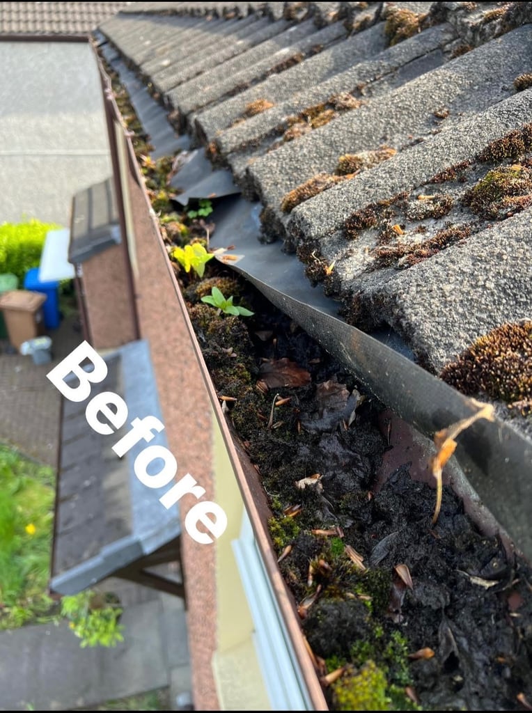 image for Clean and fix gutters