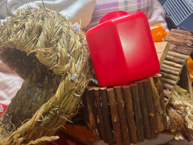 Hamster Chews and Enrichment