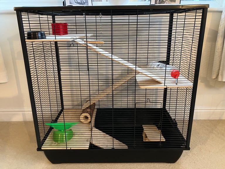 Hamster Cage & Accessories
