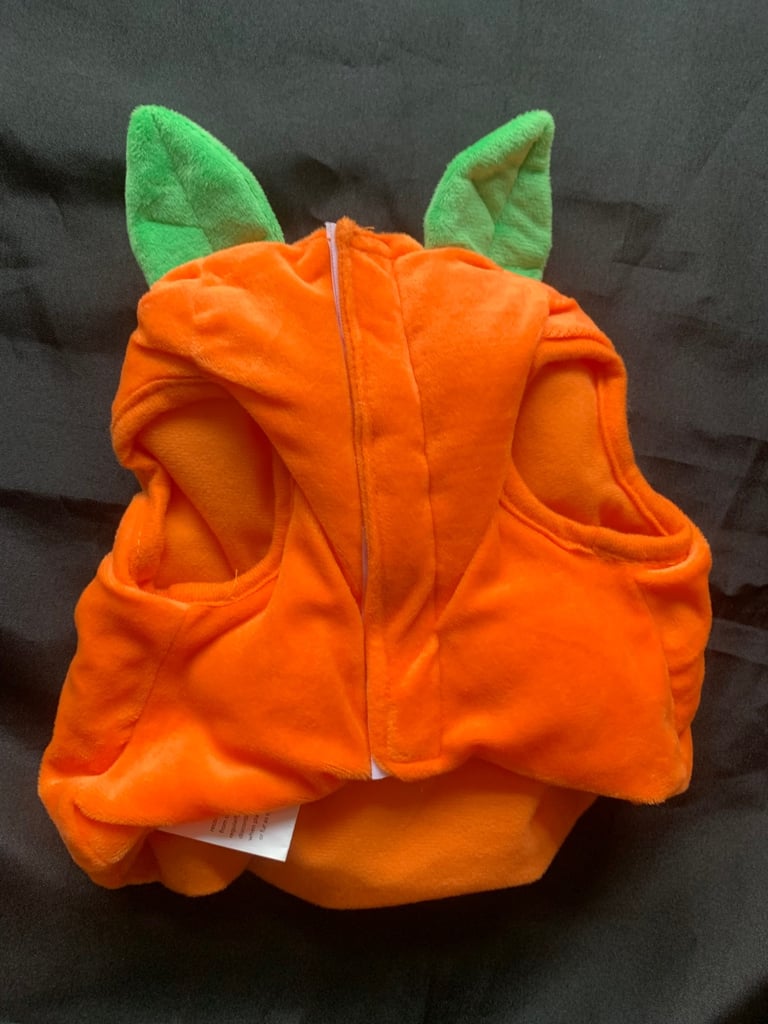 Halloween Baby & Small Dog Pumpkin Costumes 