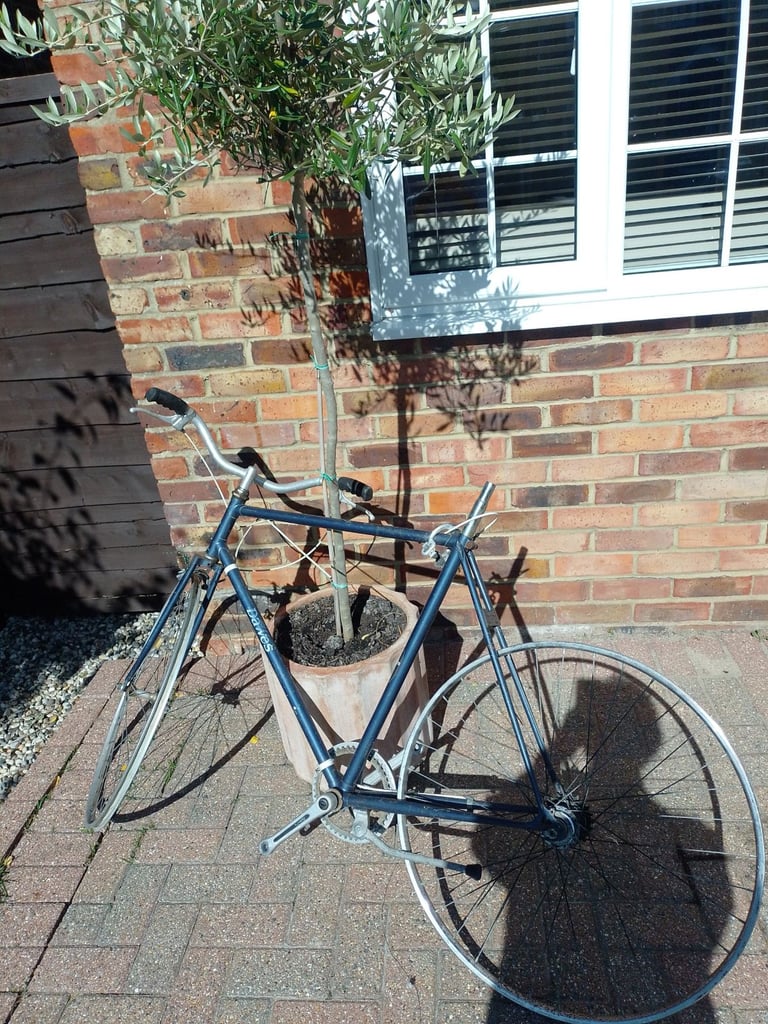 Dawes bike