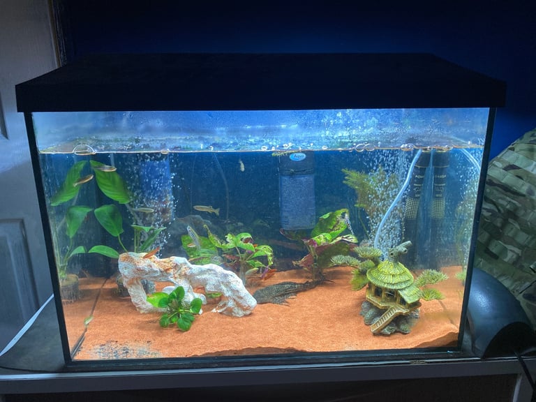 Fish tank for sale 85 litre 