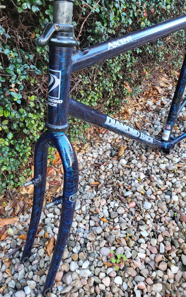 Diamond Back Ascent retro 1990s mountain bike frame and forks.