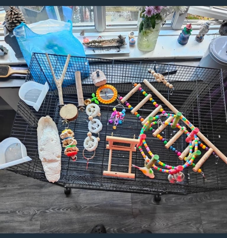 Budgie cage and stand
