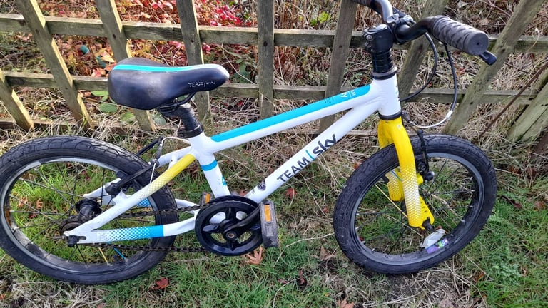 Frog 48 Team Sky ltd edition 16" wheels