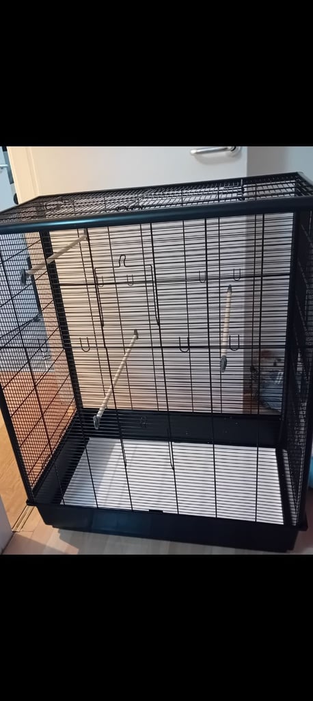 Xlarge budgie cage and accessories 