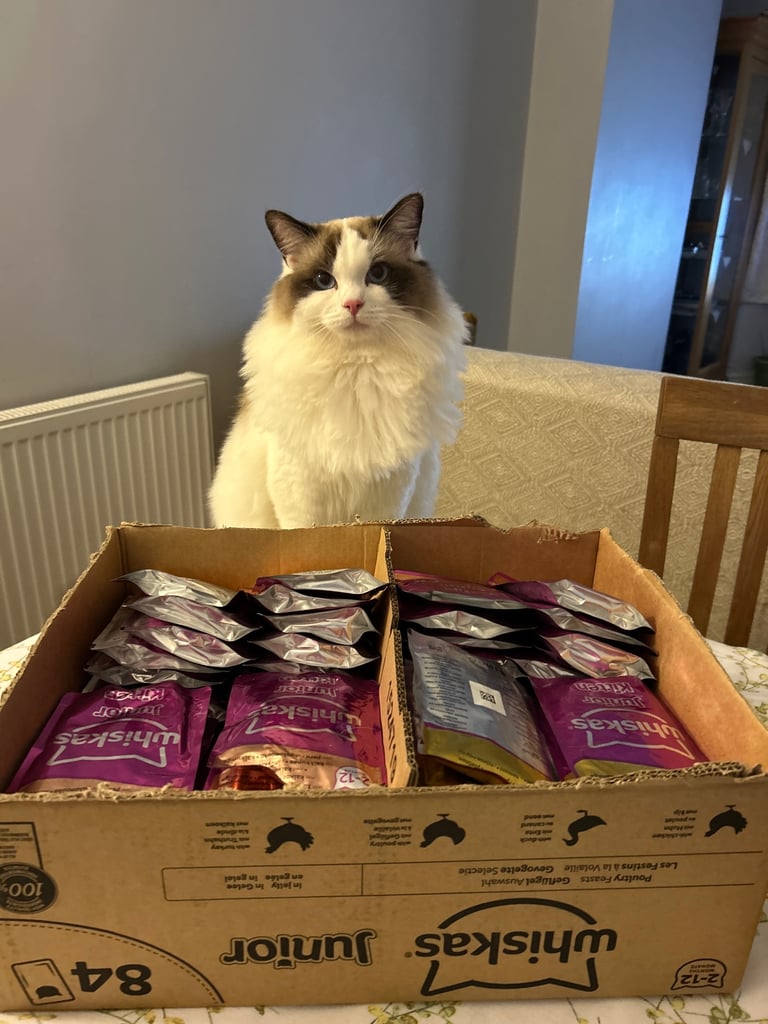 Food for pets
