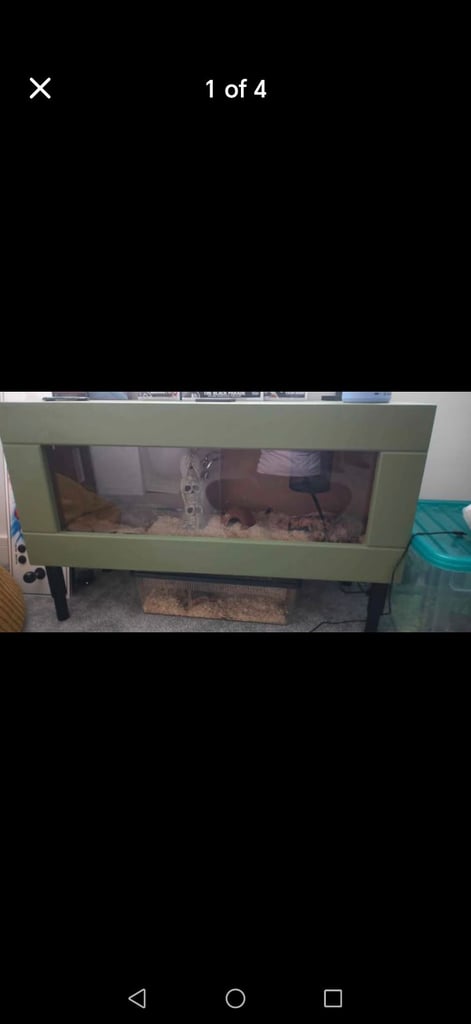 3ft by 2ft vivarium. Khaki green. Good condition