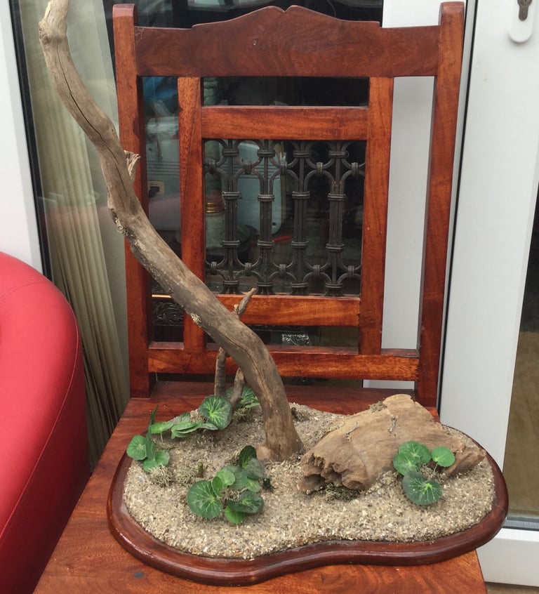 Taxidermy decorative Plinth