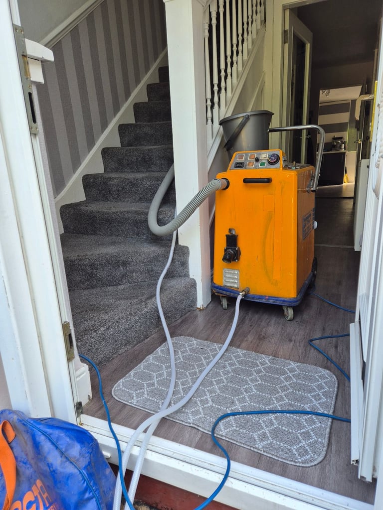 Carpet cleaner