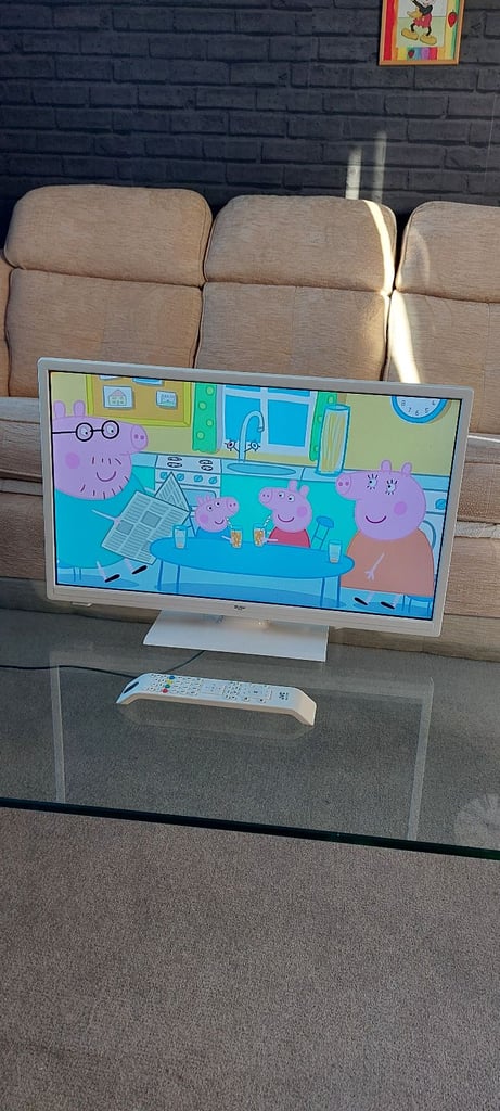24 inch Bush Freeview Tv with Dvd