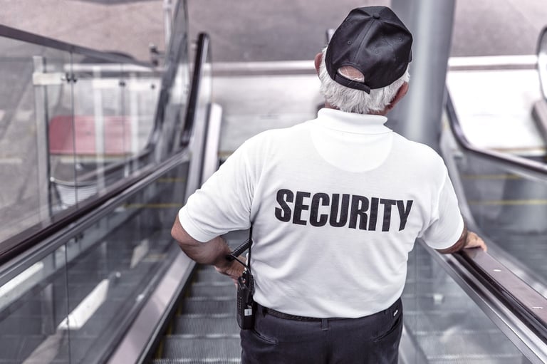 Rreliable Security Services for Your Business or Personal Needs?