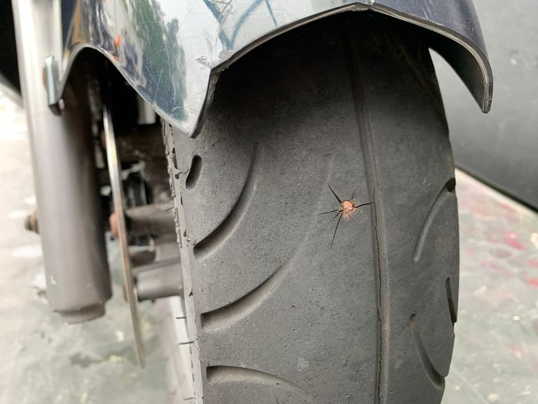 YAMAHA YP 250 MAJESTY PROJECT BIKE HPI CLEAR