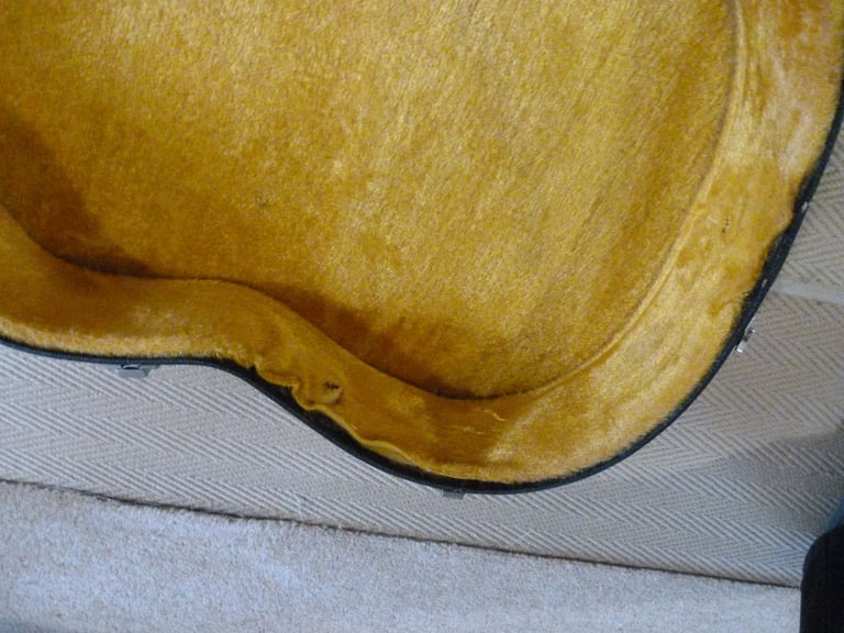 Lined Guitar hard case