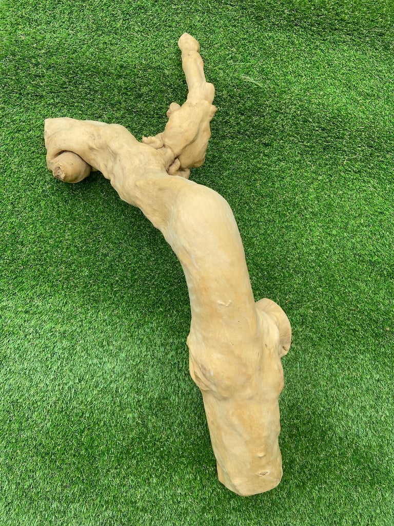 Java wooden branch