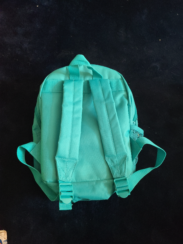 Elsa and anna backpack 