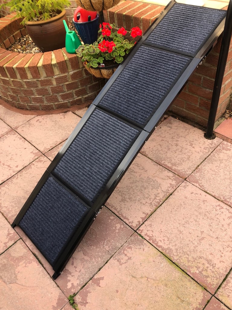 Dog ramp for car