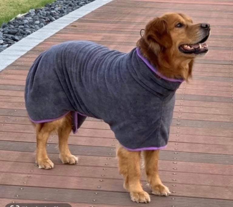Brand new dog robe 