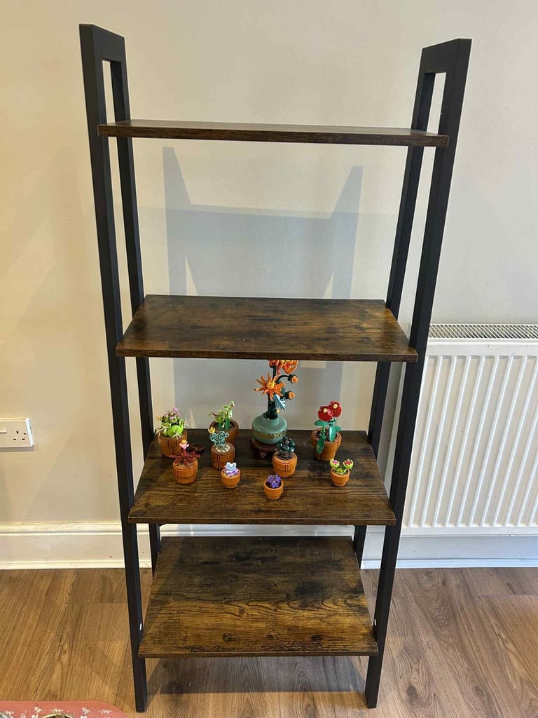 Ladder bookcase/shelving unit 