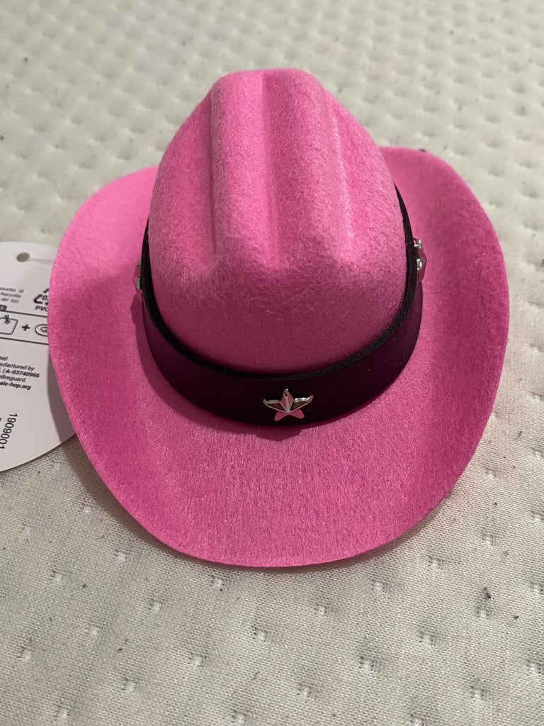 Small dog cowboy/girl hat