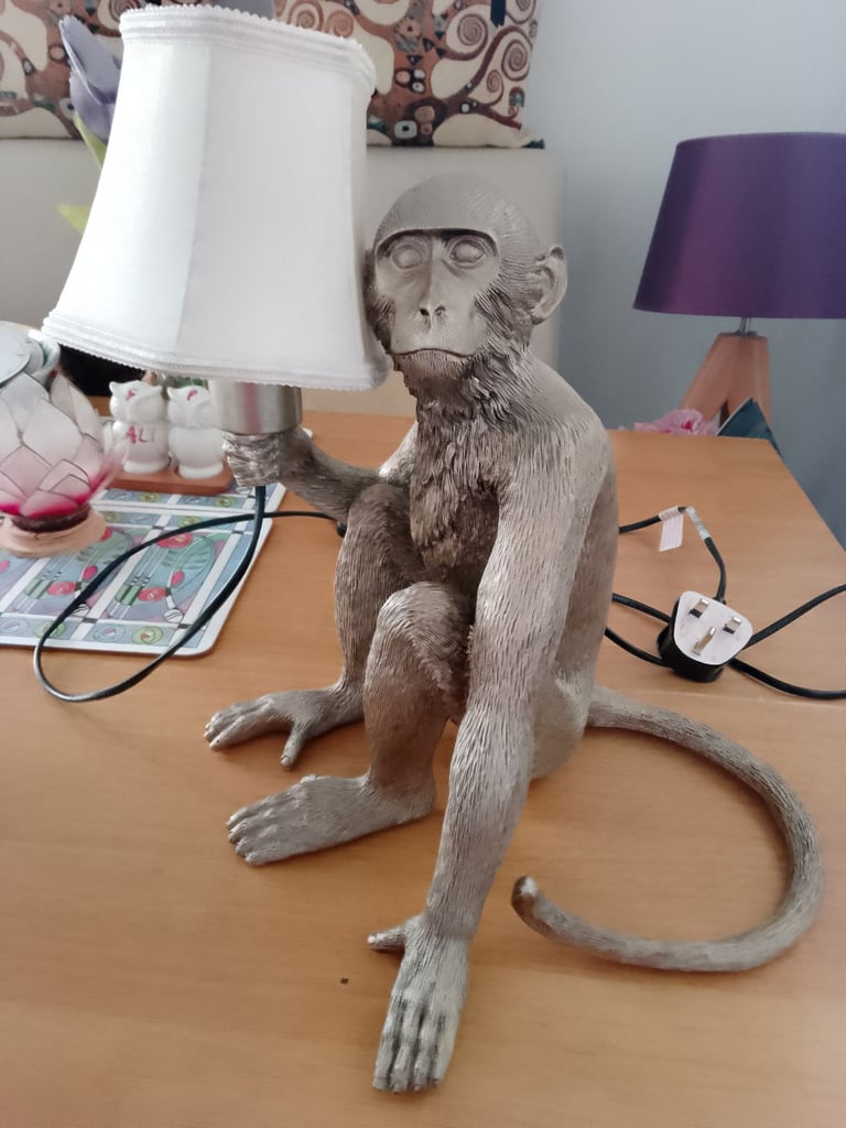 Unique monkey lamp